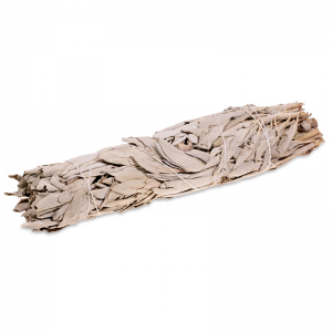 Hvit Salvie salvie white sage smudge røkelse meditasjon seremoni palo santo