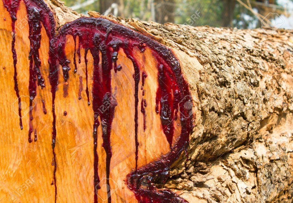 drageblod dragon blood røkelse harpiks resin incense alternativ nettbutikk aroma duft olje